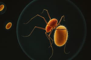 Protozoan Parasites and Phylum Apicomplexa