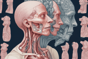 Acute Laryngotracheobronchitis and Upper Respiratory Tract Tumors Quiz