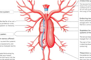 Endocrine System Flashcards - Chapter 13