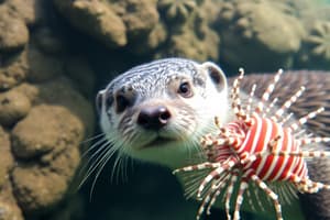 Population Dynamics of Sea Otters and Lionfish