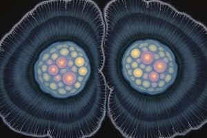 Mitosis: Cell Growth and Division