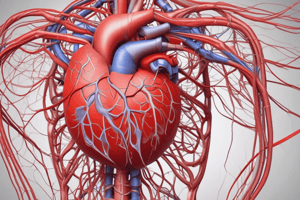 Cardiovascular System Circulation: NSCI5720 Vertebrate Anatomy & Physiology