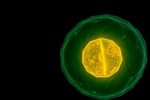 Cell Division and Mitosis Overview