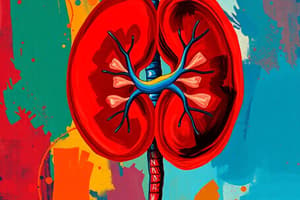 Kidney Functions and Disorders Quiz