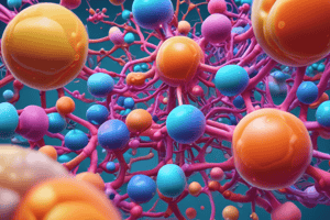 Pharmacology Quiz: Mechanisms and Drug Characteristics