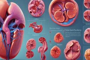 Clin Med - Acute Kidney Injury