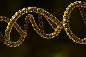 Transcription, Translation and RNA types