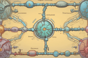 NITROGEN METABOLISM & PROTEIN TURNOVER LECT 1 1404