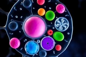 Cell Theory and Components Quiz