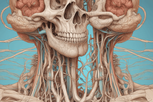 Nervous System Development