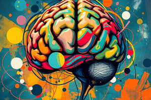 Basal Ganglia Functions and Pathways