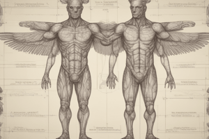 Animal Body Plans Overview