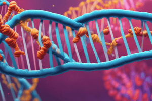 DNA Replication Process