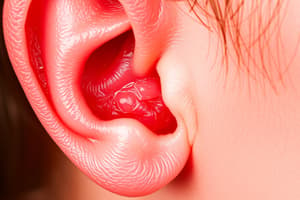 Ear Disorders: Otitis Externa vs Media