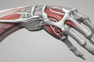 Elbow Biomechanics