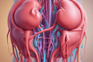 Chapter 27: The Urinary System Overview