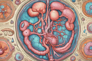 Podocytopathy and FSGS