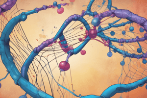 Molecular Biology: mRNA to DNA