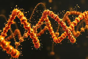 Lodish Ch 5: Molecular Biology: Nucleic Acids