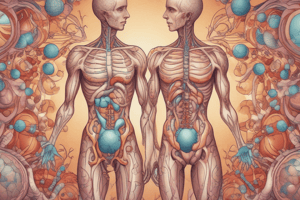 Hormoner og Endokrin System