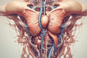 Ureter Anatomy Quiz