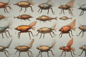 Biology: Evolutionary History of Arthropod Body Plan