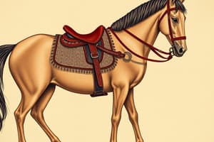 Tack Selection and Saddle Care Quiz