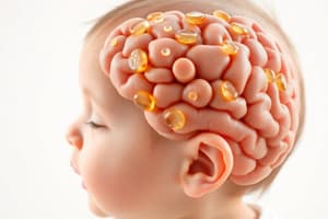 Infant Brain Development and Nutrition