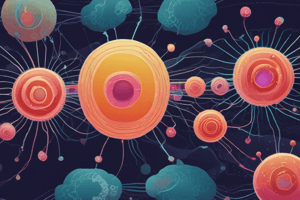 Cell Nucleus and Cell Division