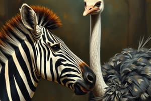 Zebras and Ostriches Quiz