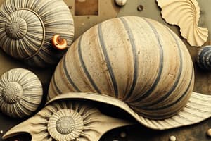 Gastropoda: Snails, Slugs & Shell Morphology