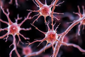 Neurons and Glial Cells Overview