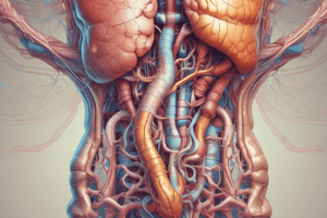 CHAPTER 15. QUIZ 2. GI Tract Motility and Transit Time