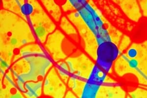 Molecular Biology: PCR and Gel Electrophoresis