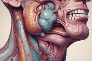 Anatomy of Sublingual Gland