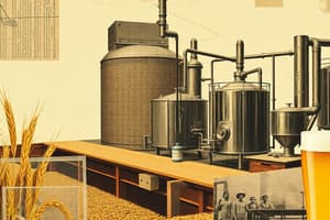 La Birra: Processo di Produzione