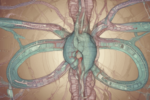 Enteric Nervous System Quiz