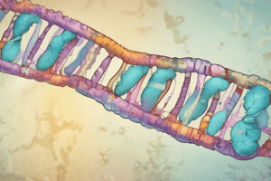 Chromosome Structure and DNA Replication