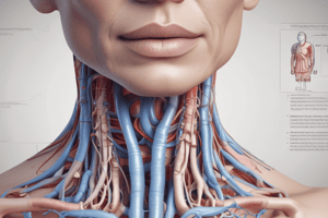 Anatomy of the Thyroid Gland