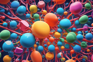 Carbohydrate Structure: Macromolecules and Energy Source