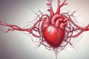 Cholesterol Synthesis and Function