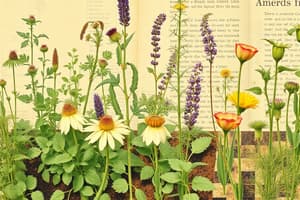 Growing Popular Herbs: Cultivar Selection