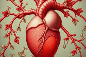 Development of Arteries