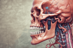 Adenomatoid Odontogenic Tumor