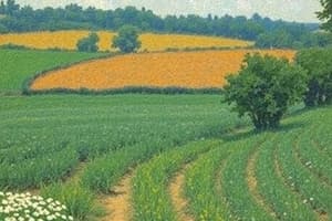 History and Types of Agriculture