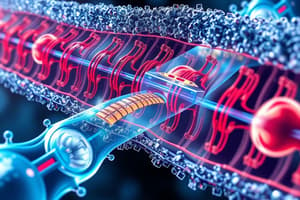 Cell Membrane Properties and Molecular Movement