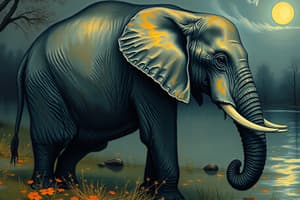 Wk 2 - Perspectives on the Elephant Story