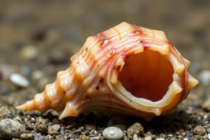 Ecology and Mollusca Quiz