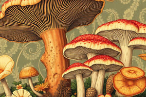 Fungi Overview Quiz