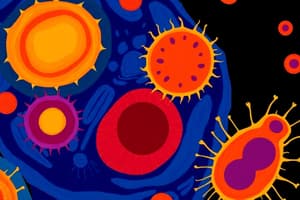 Biology Chapter 5: Multicellular vs Unicellular